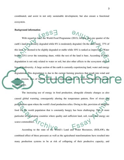 sustainable food consumption essay