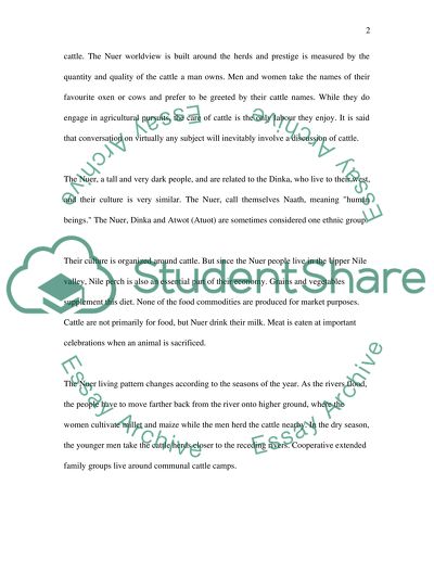 The life of a nuer cow