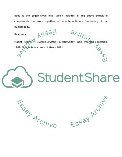 Human Anatomy Structural Levels of Organization