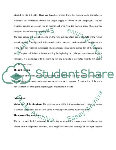 Description and Anatomy of the Human Body