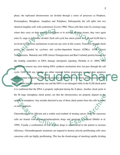Impact of DNA damage induced by anticancer drugs on both S phase and mitosis phase of the cell cycle
