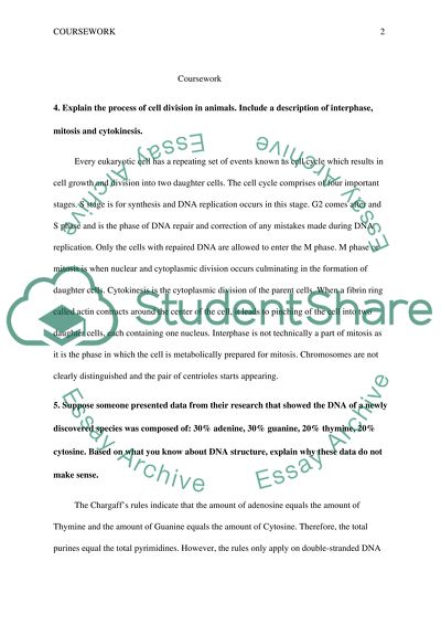 The Process Of Cell Division In Animals Coursework