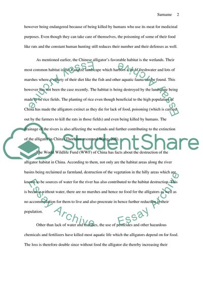 Can Alligators Be Saved