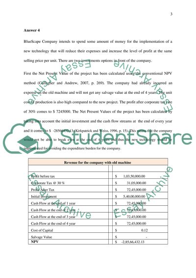 Financial Analysis of BlueScape Company