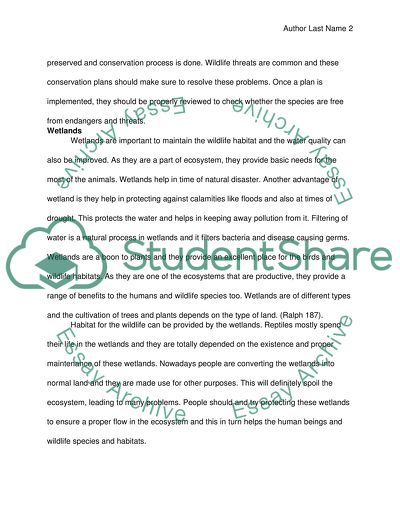 Wildlife in Colorado