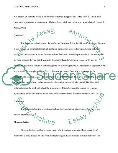 Gulf Oil Spill Paper