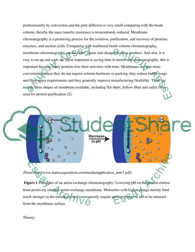 Protein purification using anion exchange membranes