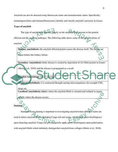 Investigation of Amyloid Using Four Stains