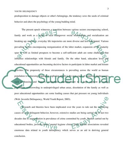 Causes of Youth Delinquency