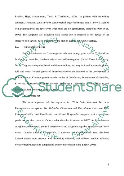 E Coli and Its Colonization of Urothelial Cells