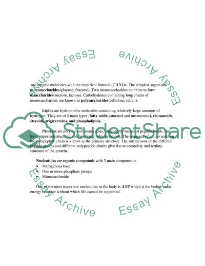 DNA Structure and Cell Membrane