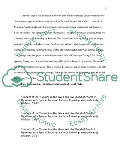 The Impact of Tsunami in Indonesia