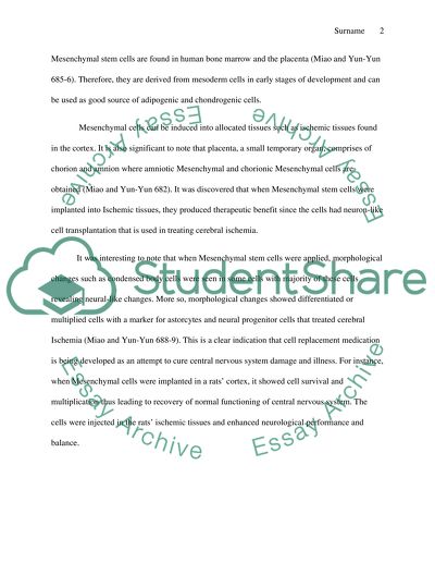Transplantation of Human Amniotic Mesenchymal Stem Cells in the Treatment of Cerebral Ischemia