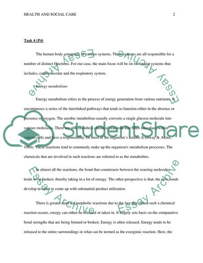 Cardiovascular and Respiratory System and the Concept of Homeostasis