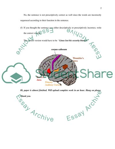 What We Know about Human Language