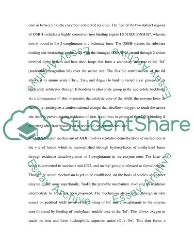 The function and mechanism of AlkB
