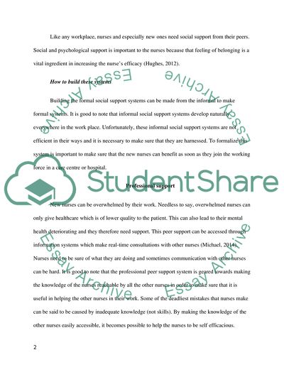 Peer Support Program for New Nurses