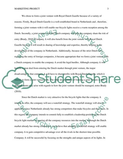 Entry into Netherlands Bicycle Lights Market