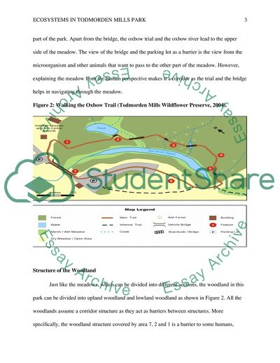 Ecosystems in Todmorden Mills Park