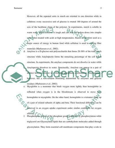 The Protein Synthesis Process
