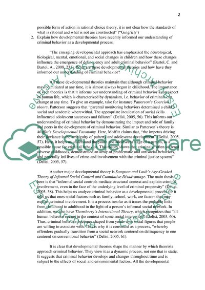 Strengths and Limitations of Rational-Choice Based Perspectives