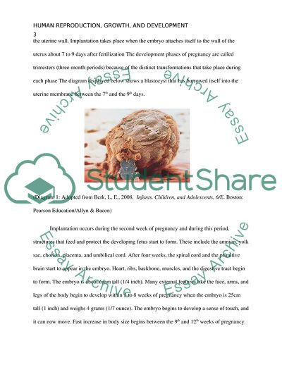 Human Reproduction and Development