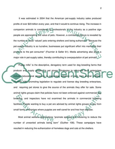 The Importance of Thinking Adoption First When Choosing a Pet