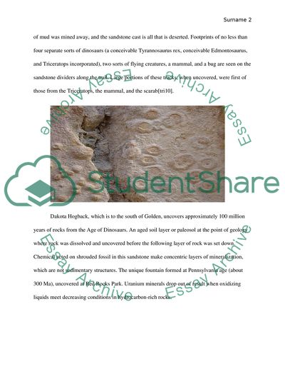 geology college essay