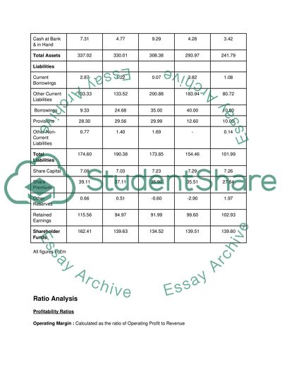 Report for Potential Investor