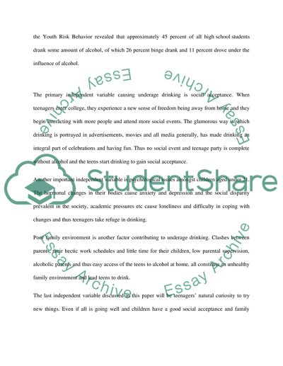 Project paper and Feasibility Paper