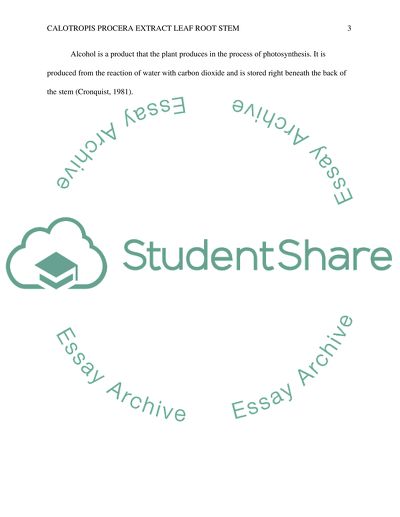 Calotropis procera extract leaf root stem