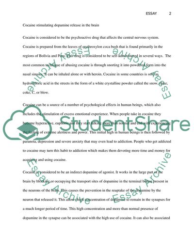 The Mechanisms That Stimulate Dopamine Release in the Brain