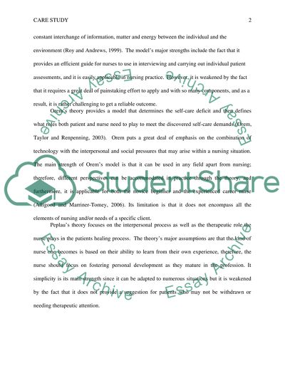 Nursing as a Whole: Defining Nursing and Talking about Florence Nightingale