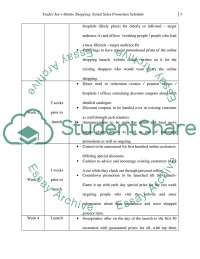 Marketing Plan: Final Paper