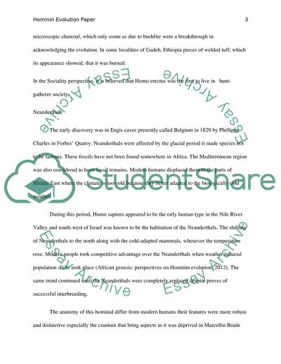 Perspectives on Hominin Evolution