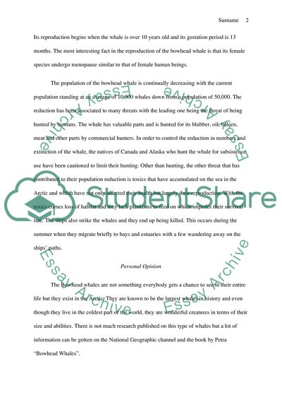 Facts on Bowhead Whales