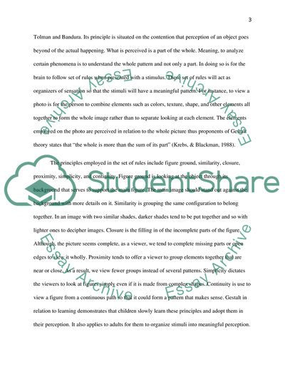 Cognitive Theories Of Learning