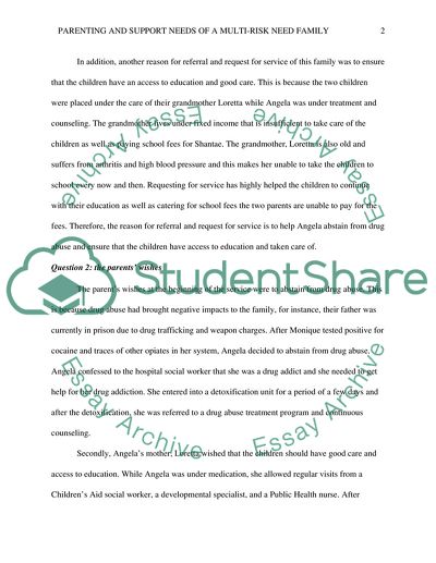 Parenting and Support Needs of a Multi-Risk Family