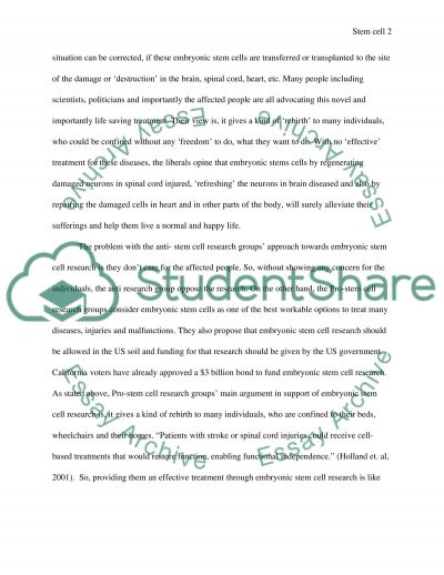 Why are human rights important essay