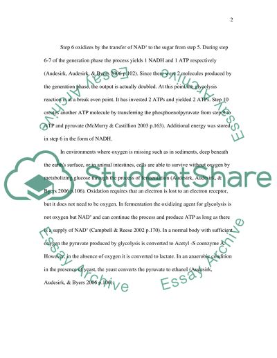 The Glycolysis Process in Humans and in Yeast