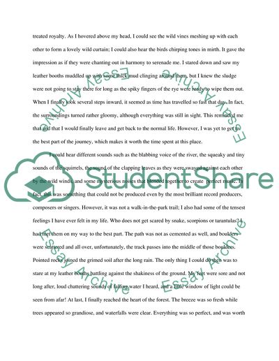 Strolling along the Narrow Paths into the Deep Forest