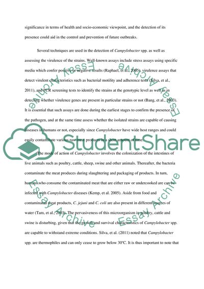 The Significance of Campylobacter coli