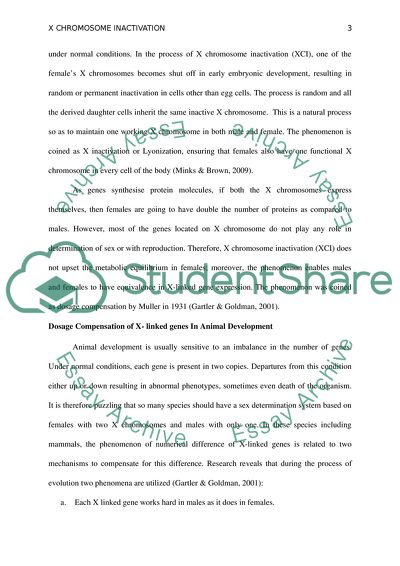 X Chromosome Inactivation