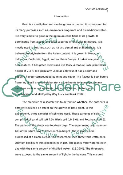 Ocimum Basilicum Laboratory Report