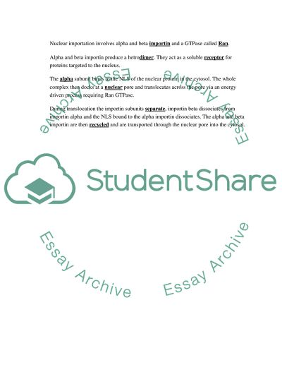 Other Ways of Protein Sorting
