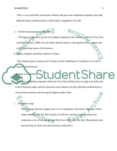 Daycare Owner and Operating Business