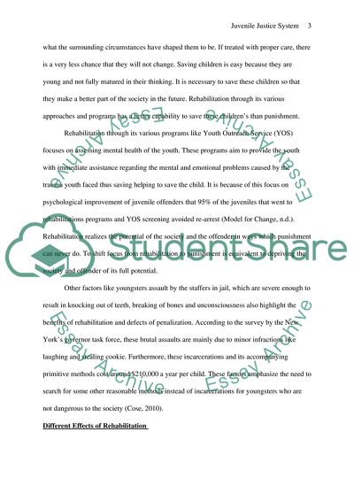 Justice System Position Paper