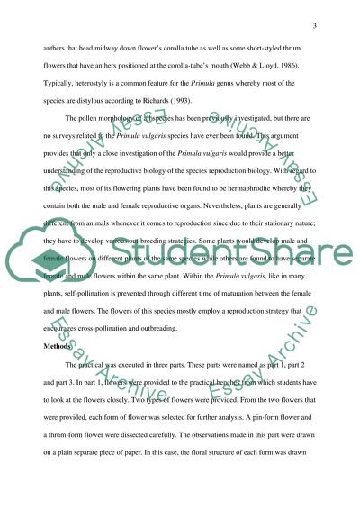 Lab Report about Primula