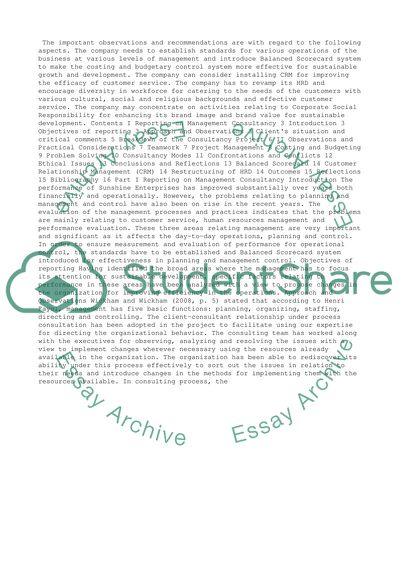 Individual Management Consultancy Report