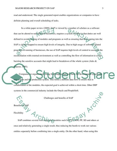 The Efficiency of Systems Applications Products